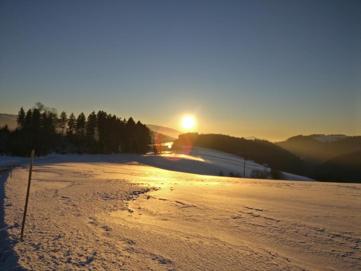 ホテルThurner Wirtshaus Sankt Märgen エクステリア 写真